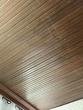 Jasmin Pink online show from 11-19-25, 03:12