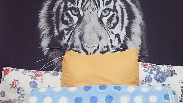 SweetPortableAmber online show from 03-17-26, 11:35