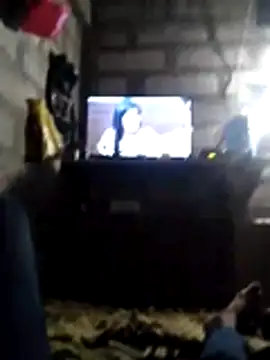 premdas77 online show from 03-31-26, 06:52