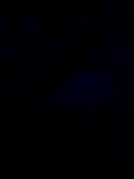 changavega online show from 10-31-25, 12:44