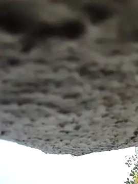 Snapshot of AnanyaKapoor89 chatting on 11-09-25, 02:43 AnanyaKapoor89 online show from 11-09-25, 02:43