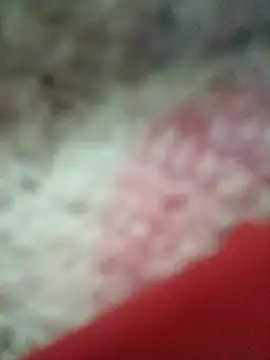 Snapshot of vardh033 chatting on 09-16-25, 05:03 vardh033 online show from 09-16-25, 05:03