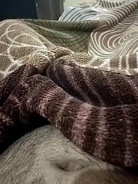 shadab1267 online show from 02-11-26, 03:39