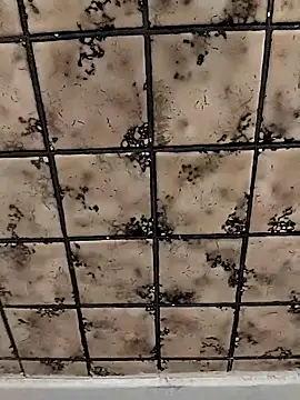 rosembertg online show from 10-02-25, 01:07