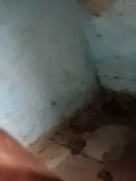 Sheema tyagi online show from 11-11-25, 07:47