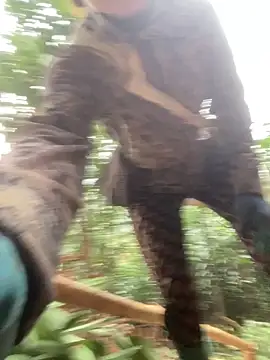 Snapshot of Pyy07 chatting on 03-26-26, 12:17 Pyy07 online show from 03-26-26, 12:17