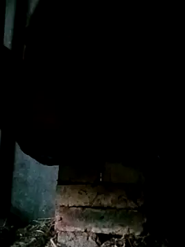 NegroArg 22 online show from 10-02-25, 09:44