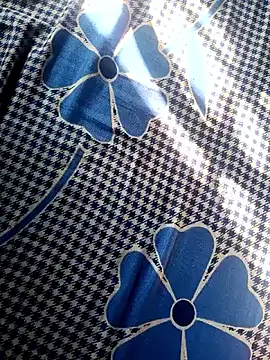 Snapshot of Renuka_GG chatting on 11-04-25, 03:16 Renuka GG online show from 11-04-25, 03:16