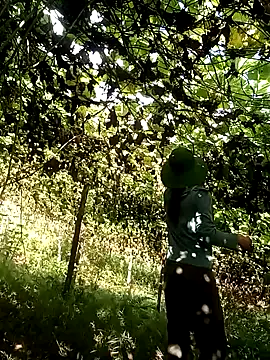 ngan-cute online show from 10-18-25, 01:30