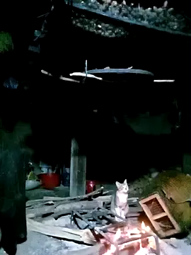 ngan-cute online show from 11-17-25, 01:28