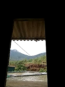 ngan-cute online show from 05-04-26, 12:17