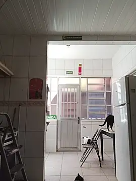 dinho carioca online show from 02-13-26, 12:12