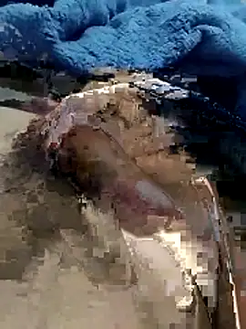 Snapshot of hdz3012 chatting on 11-15-25, 01:29 hdz3012 online show from 11-15-25, 01:29