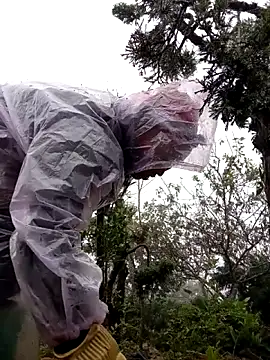 tcm-cute online show from 11-03-25, 08:04