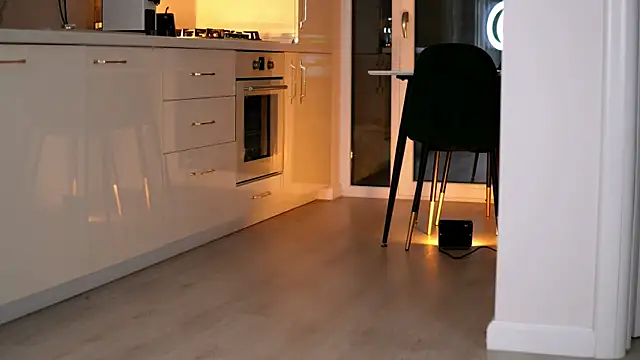 Snapshot of ElaraShine chatting on 02-24-26, 08:29 ElaraShine online show from 02-24-26, 08:29