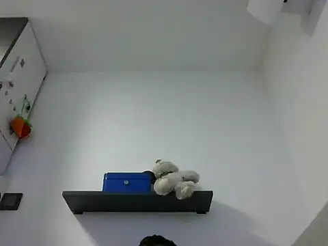 IMGTomi online show from 06-17-26, 03:42