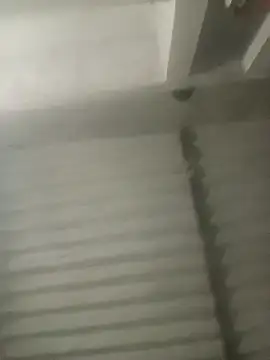 Payal950 online show from 10-18-25, 03:13