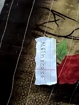 Payal950 online show from 02-14-26, 10:17