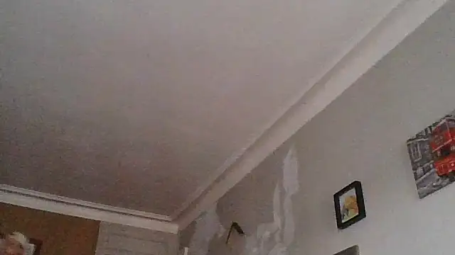 Titilouonlyf69 online show from 07-23-26, 07:01