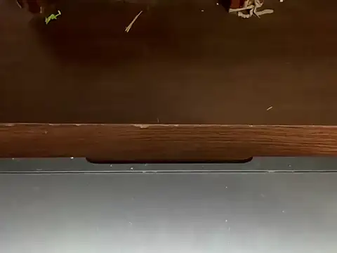 LustyDuoSecrets online show from 04-21-26, 04:45