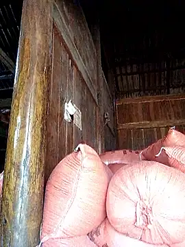 Snapshot of hera-00 chatting on 09-20-25, 03:40 hera-00 online show from 09-20-25, 03:40