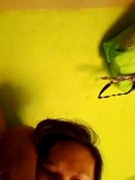 pussywet 08 online show from 05-31-26, 11:17