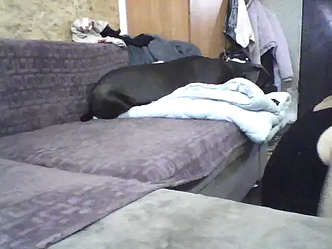 Milana38 online show from 10-07-25, 09:50