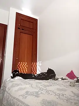 Snapshot of oscartres chatting on 11-02-25, 03:25 oscartres online show from 11-02-25, 03:25