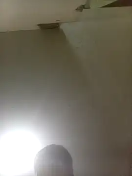 Bebicho14 online show from 11-22-25, 05:28