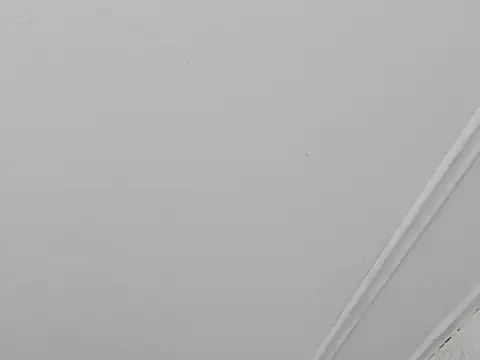 paull george online show from 11-28-25, 05:48