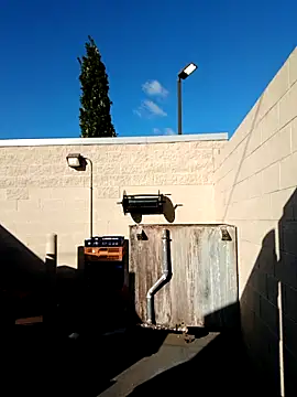 Dropdingo online show from 10-19-25, 02:07