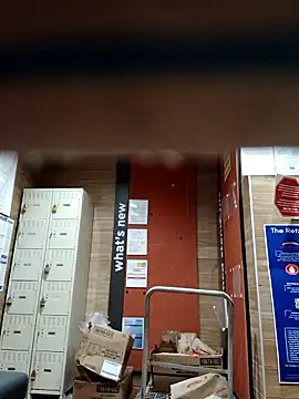 Dropdingo online show from 10-31-25, 03:57