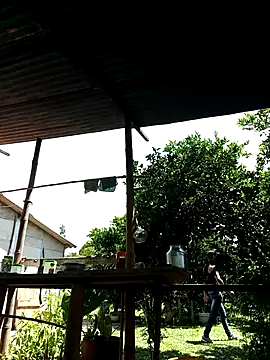 AlphaAlterX online show from 10-02-25, 06:04