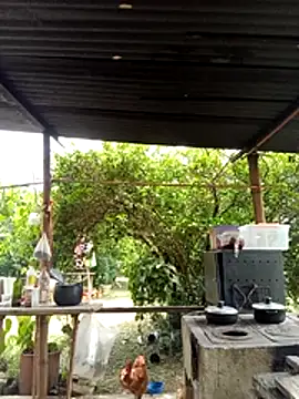 AlphaAlterX online show from 03-11-26, 06:14