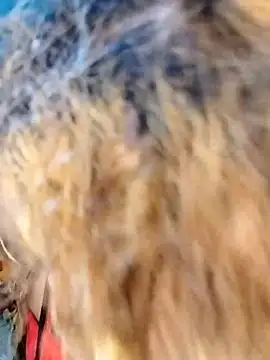 hemilynthomas2467 online show from 02-01-26, 07:23