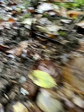 andymatthisbwc online show from 10-05-25, 03:43