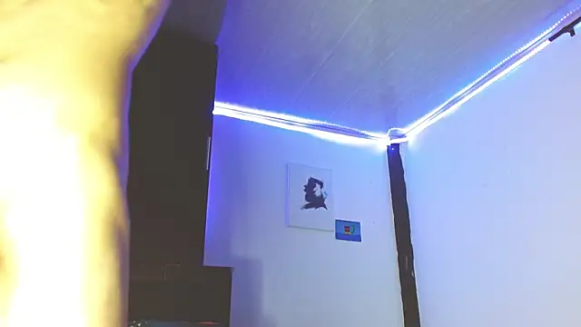 Snapshot of Emil_prl chatting on 11-27-25, 08:22 Emil prl online show from 11-27-25, 08:22