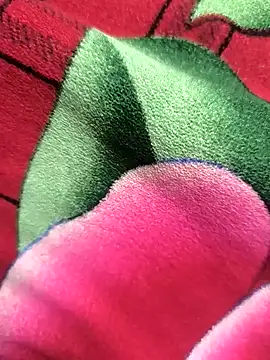 Family02 online show from 11-26-25, 04:41