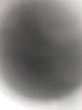 Snapshot of Necroforo chatting on 02-14-26, 08:49 Necroforo online show from 02-14-26, 08:49