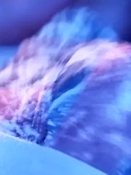 sertaonegro online show from 11-14-25, 11:13