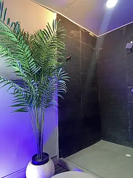 Tayler Kim online show from 04-10-26, 06:56