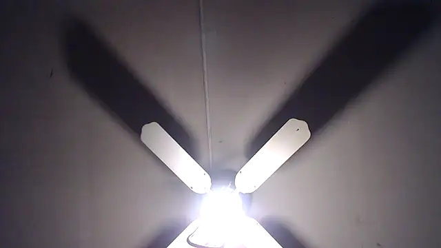 BiglovelyXXL online show from 04-13-26, 08:36