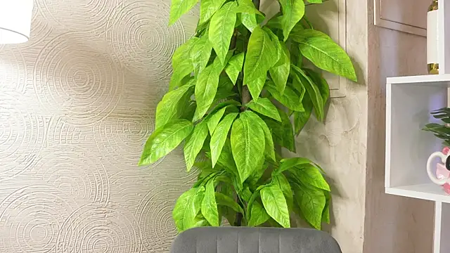 MarlinVarian online show from 09-09-25, 06:13