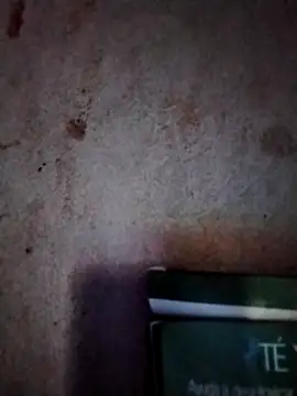  tetas 92 online show from 03-07-26, 01:30