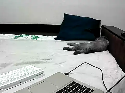 Snapshot of black_lany chatting on 09-22-25, 02:41 black lany online show from 09-22-25, 02:41