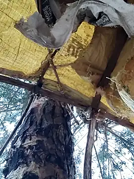 Snapshot of Janvi_Jaitly chatting on 11-23-25, 01:16 Janvi Jaitly online show from 11-23-25, 01:16