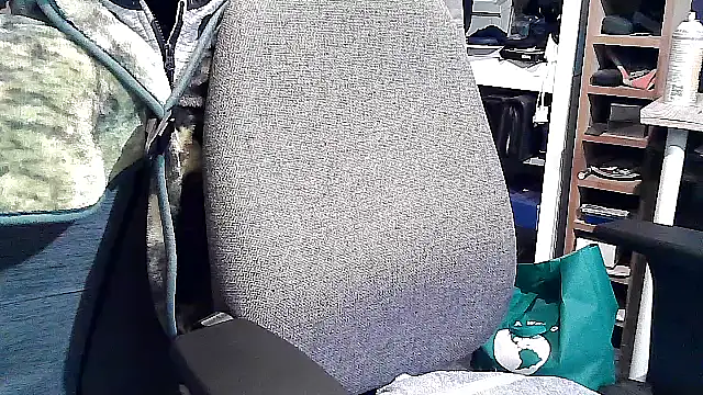 georgew62 online show from 09-20-25, 11:50