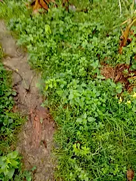 bigdaddyboy46 online show from 09-12-25, 02:00