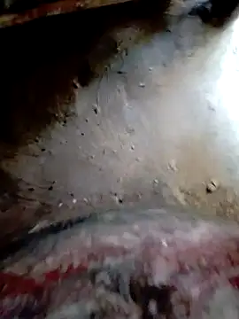 bigdaddyboy46 online show from 10-20-25, 09:43