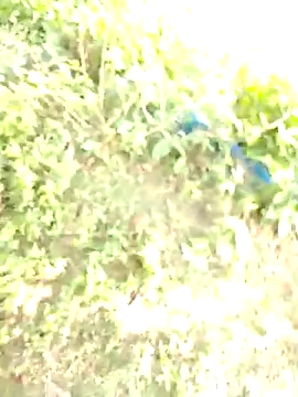 bigdaddyboy46 online show from 11-11-25, 06:13